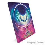 18"x24" - Condor Eagle